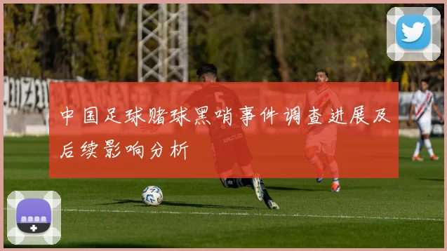 中国足球赌球黑哨事件调查进展及后续影响分析
