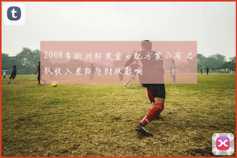 2008年欧洲杯奖金分配方案公布 各队收入差距与财政影响
