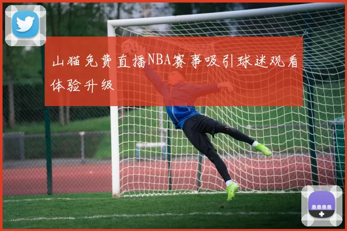 山猫免费直播NBA赛事吸引球迷观看体验升级