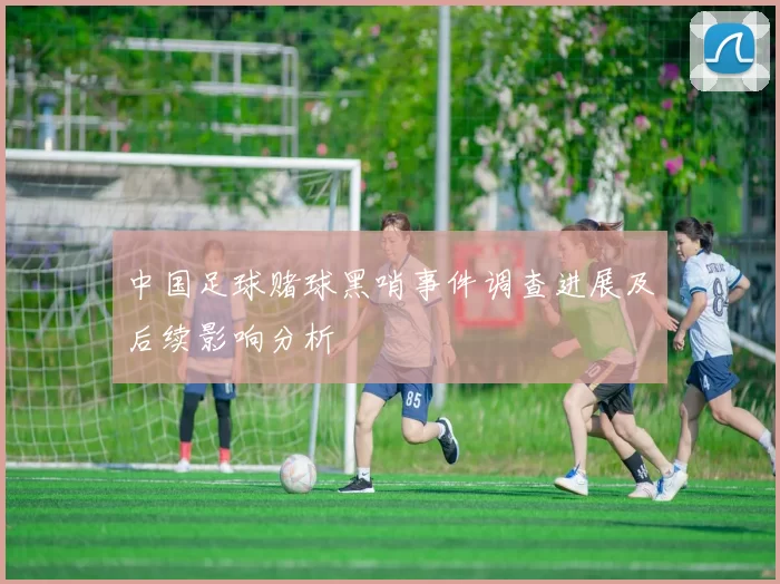 中国足球赌球黑哨事件调查进展及后续影响分析